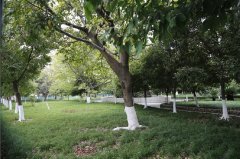 四川省射洪中学校