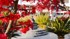 四川省盐亭中学