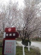 四川省梓潼中学