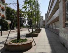 四川省金堂实验中学