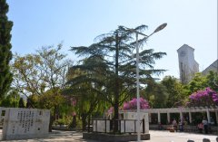 西昌市第二中学