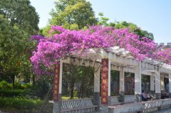 西昌市第二中学