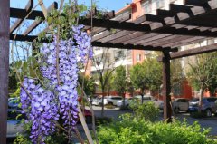 西昌市礼州中学