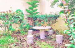 四川省彭州市第一中学