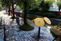 乐山外国语学校