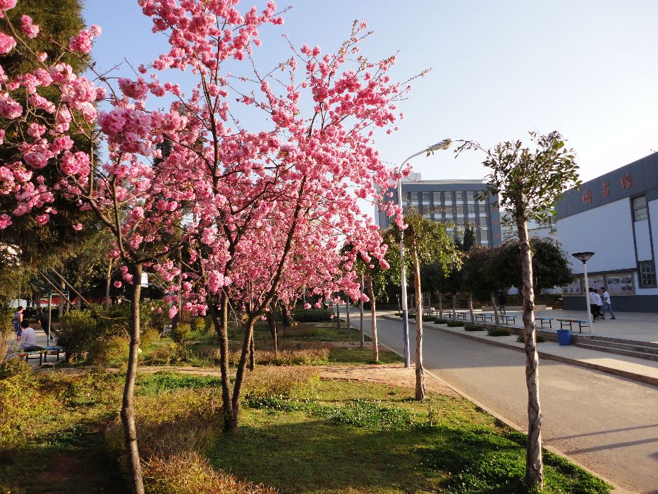 云南经贸外事职业学院