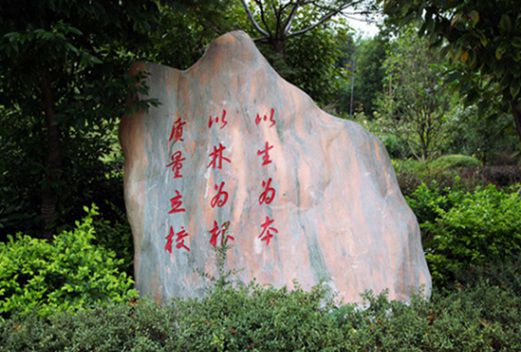 山东省烟台护士学校