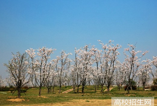 广西经济职业学院