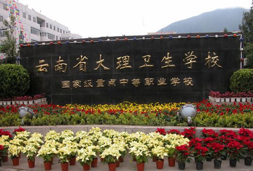 云南省大理卫生学校