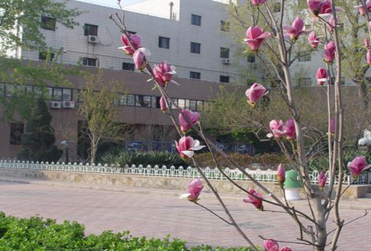 天津师范大学成人教育