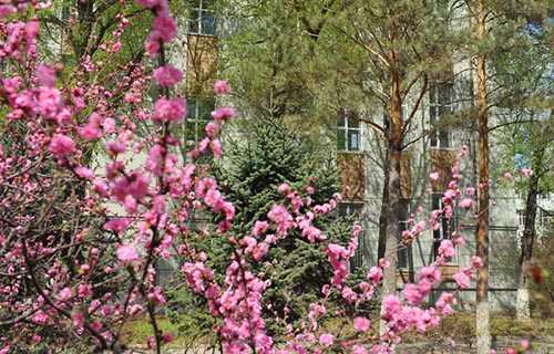 齐齐哈尔理工职业学院