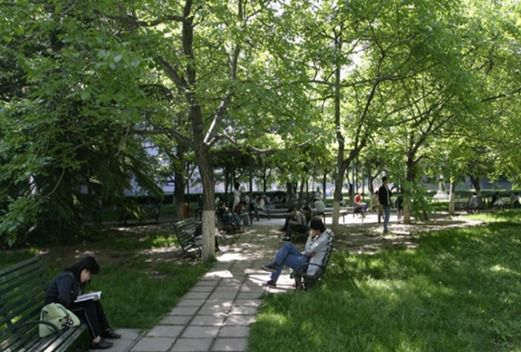 北京师范大学成都实验中学