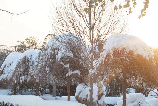 北京京北职业技术学院
