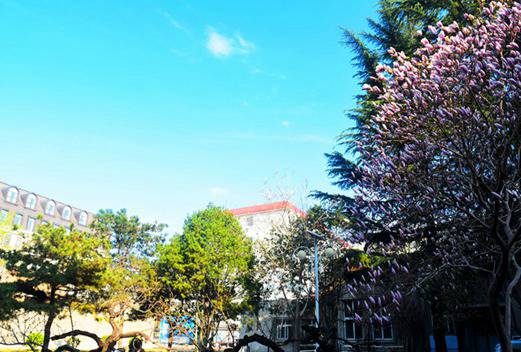 北京信息职业技术学院