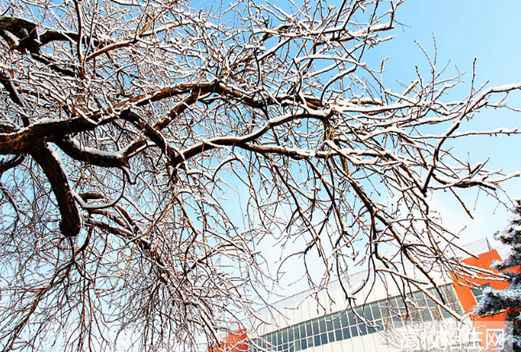 北京农业职业学院