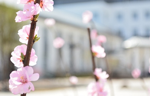 淄博铁路运输技工学校