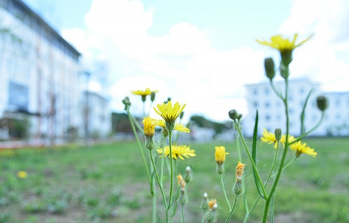 淄博铁路运输技工学校
