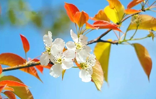 枣庄台儿庄区职业中专