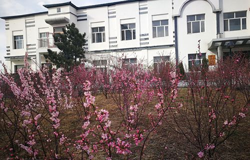 东营胜利海运学校