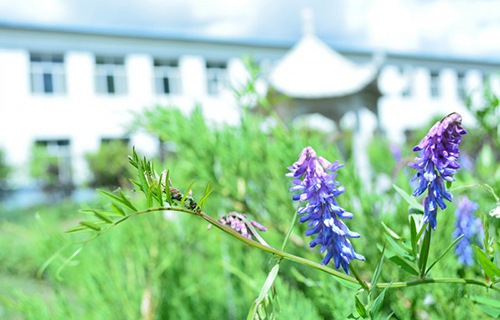 东营胜利海运学校