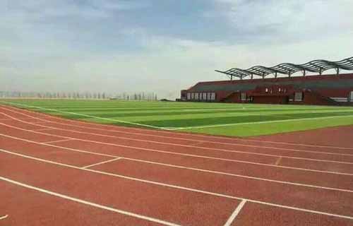 山东龙口市南山职业中等专业学校