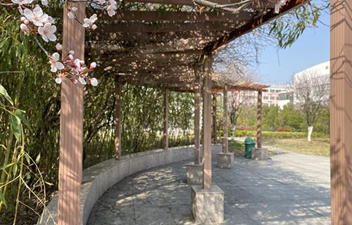 山东龙口矿业集团高级技工学校