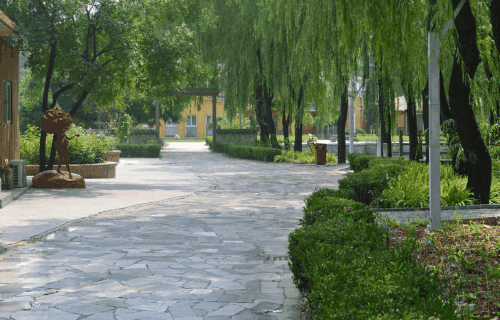 招远高级职业学校