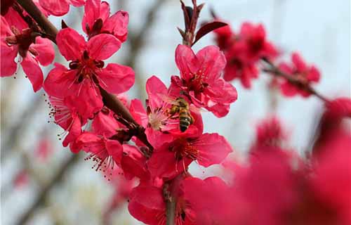 诸城市高级技工学校
