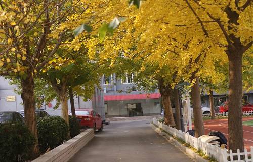 北京经济管理学校