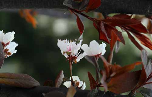 山东济宁卫生学校