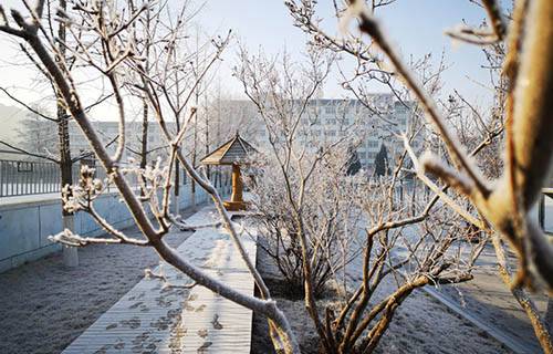 山东济宁卫生学校