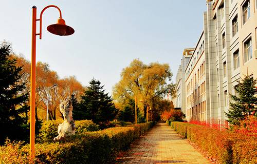 泰安机械电子工程学校