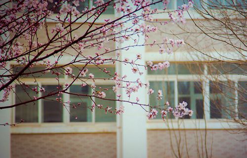 费县职业中专学校