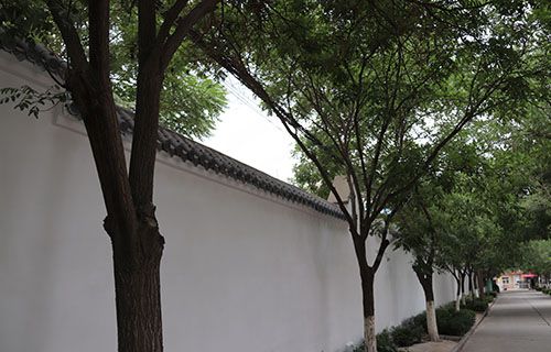 宁津县职业中等专业学校