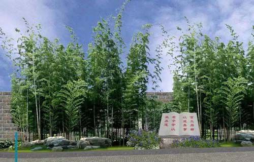 莘县职业中等专业学校