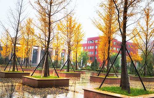 山东单县职业中等专业学校