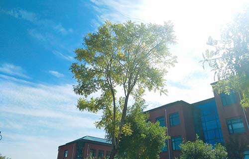 定陶县技工学校