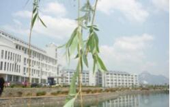 山东泰安卫生学校