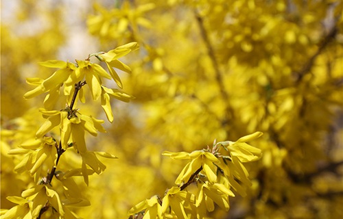 聊城轻工职业中等专业学校