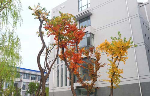 莱芜长勺职业中专