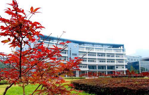 新泰职业中等专业学校