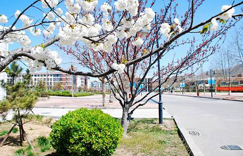 烟台第一职业中等专业学校