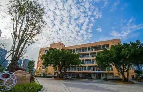 东营蓝海职业学校