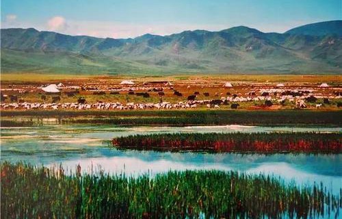 淄博周村职业中等专业学校