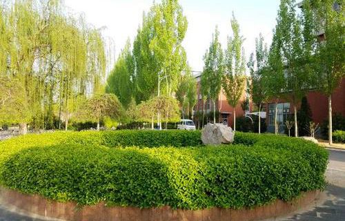 青岛城阳职业中等专业学校