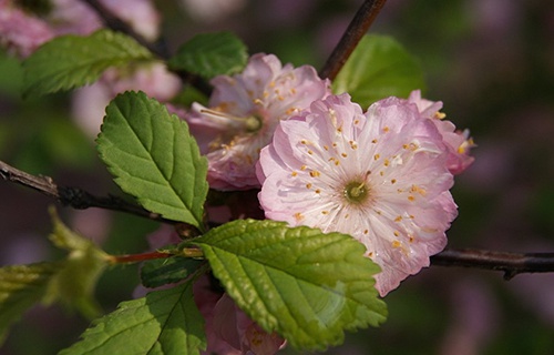 山东即墨市第二职业中专