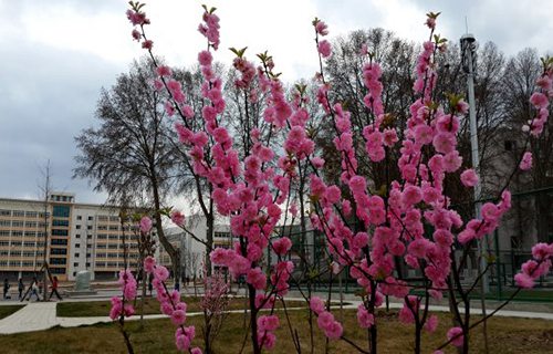 滨州高级技工学校