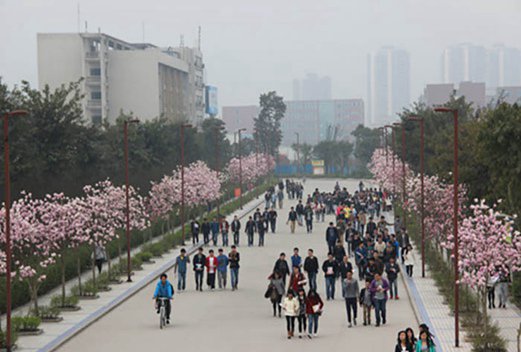 十堰医药卫生学校