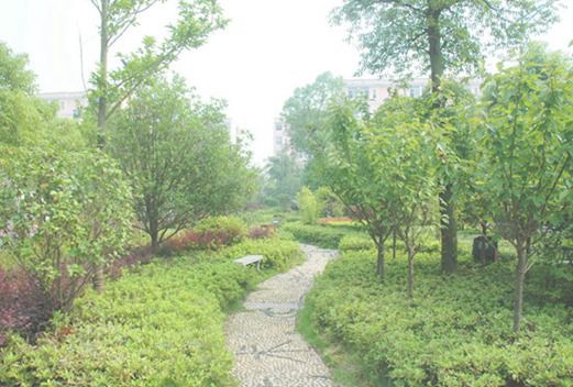 湖南电子科技职业学院