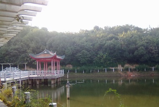 长沙民政职业技术学院